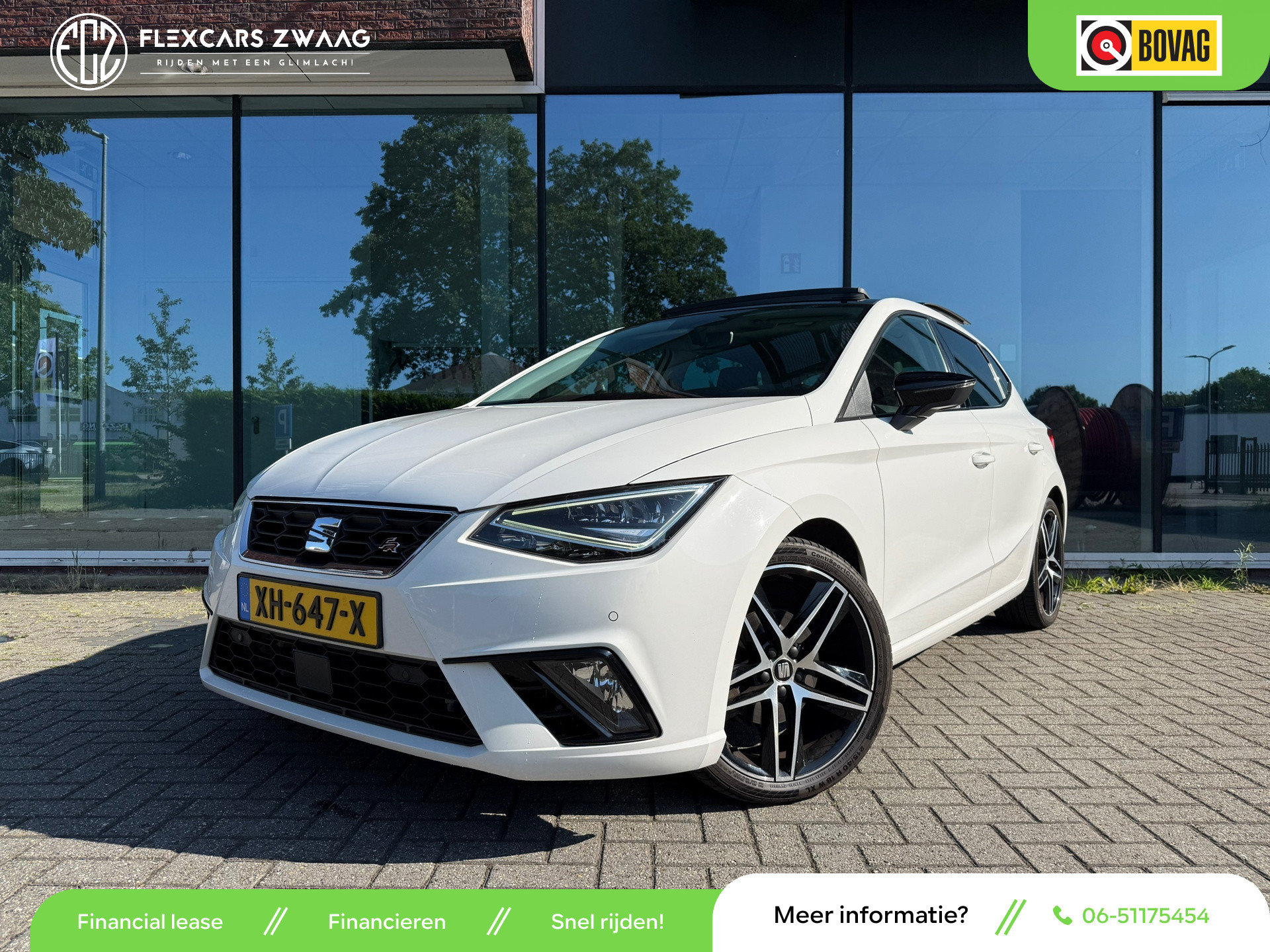 55384636
